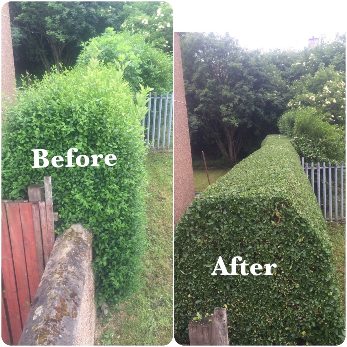 Gardener: Image 2
